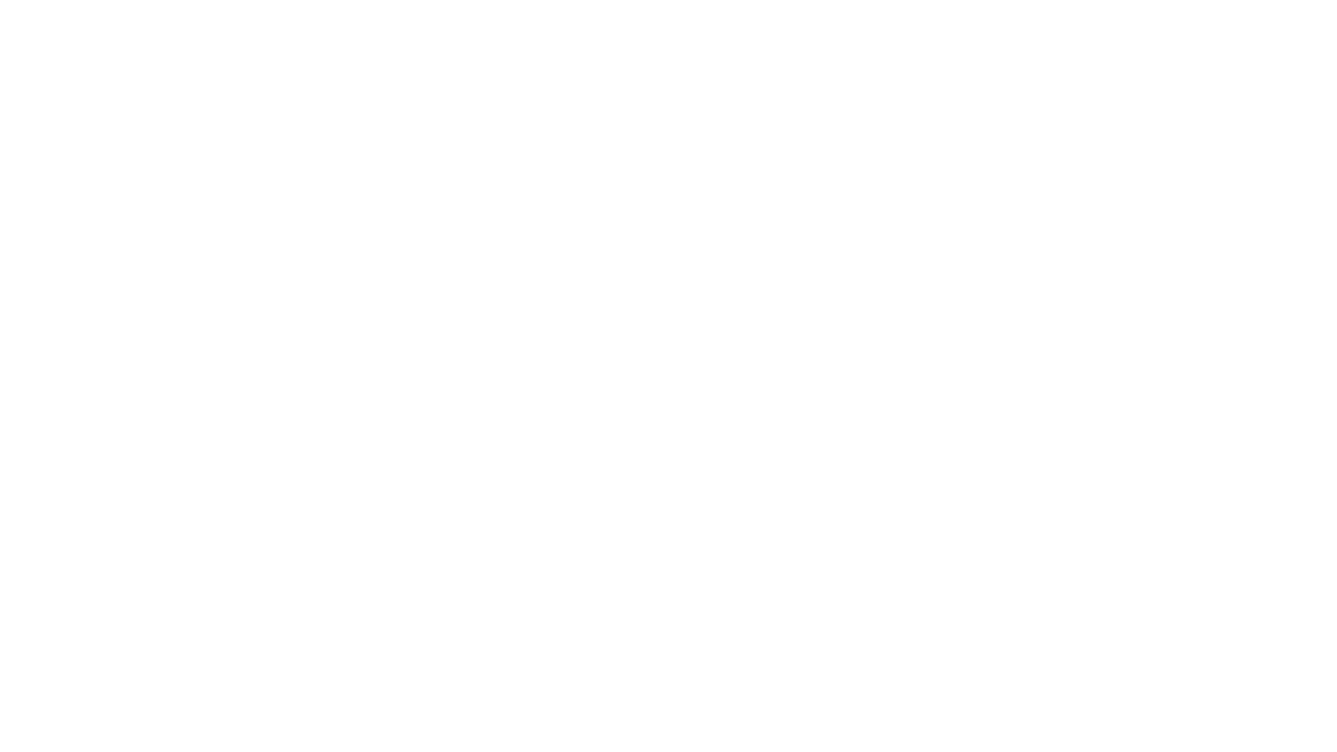 Holland FinTech